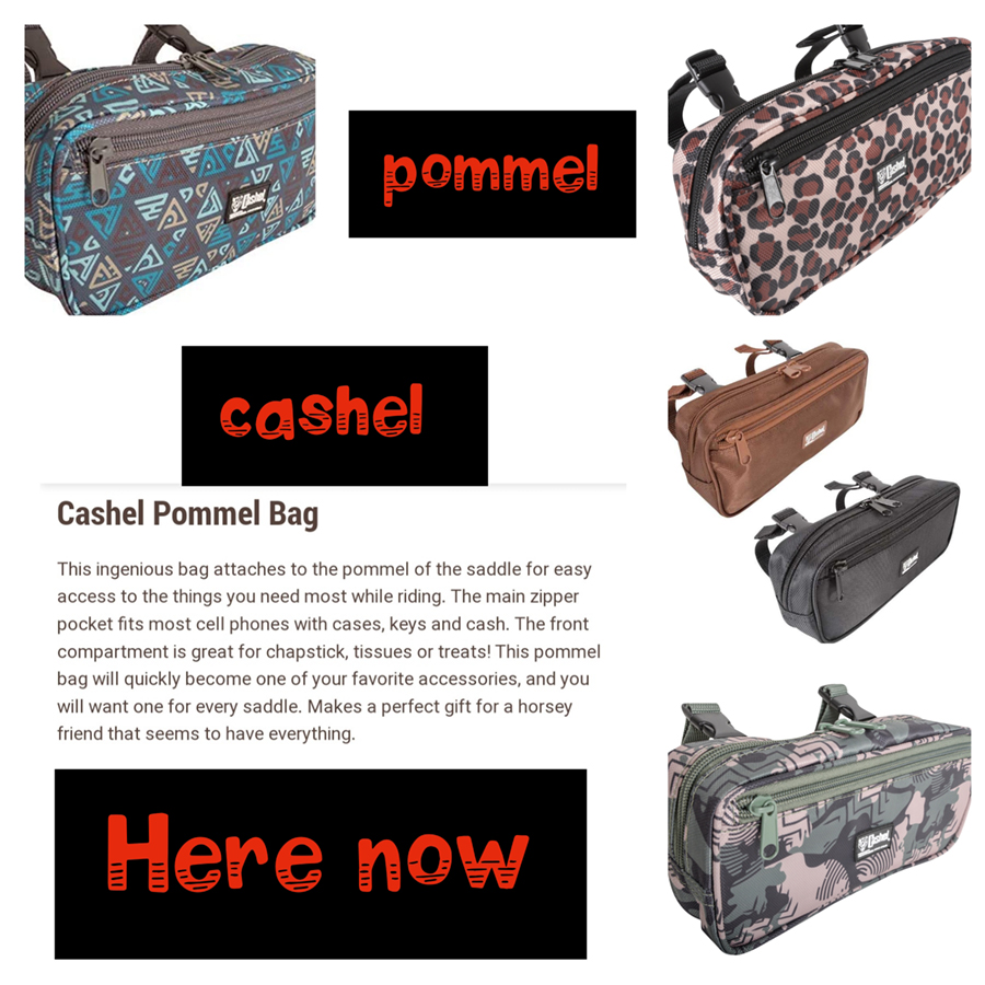 Cashel Pommel Bag Uxbridge, MA