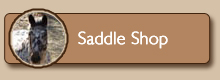 Saddle Shop