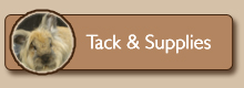 Tack & Supplies