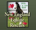 NEER - New England Equine Rescues